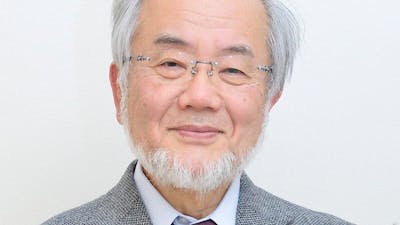 How to renew your body: Fasting and autophagy