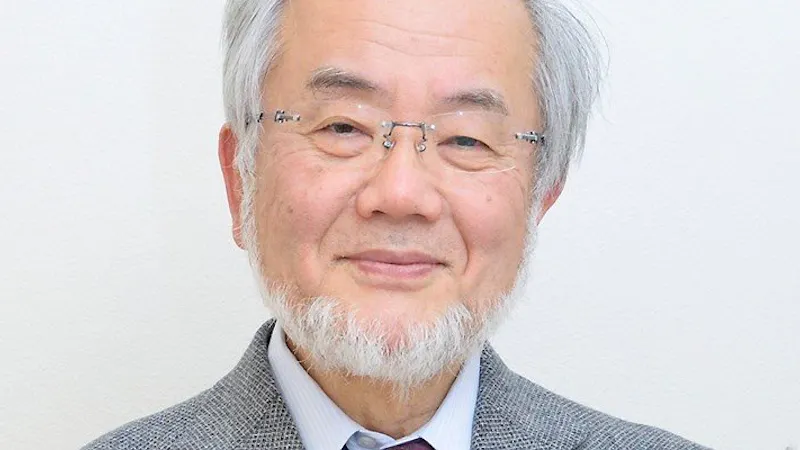 How to renew your body: Fasting and autophagy