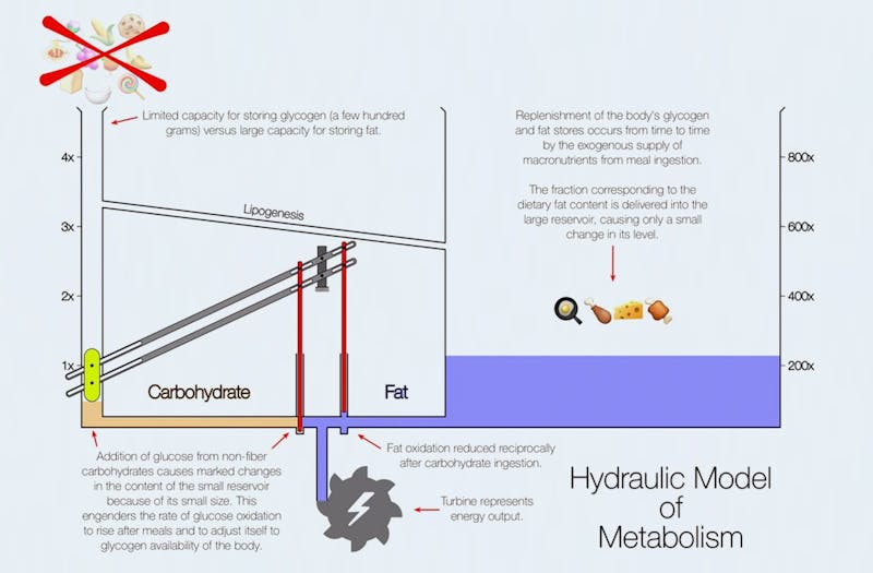 hydrualic1