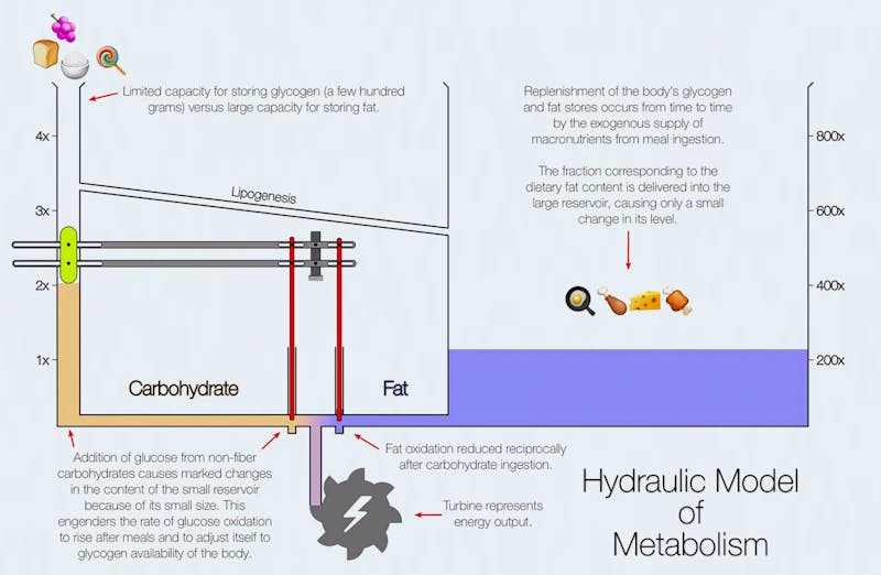 hydrualic2