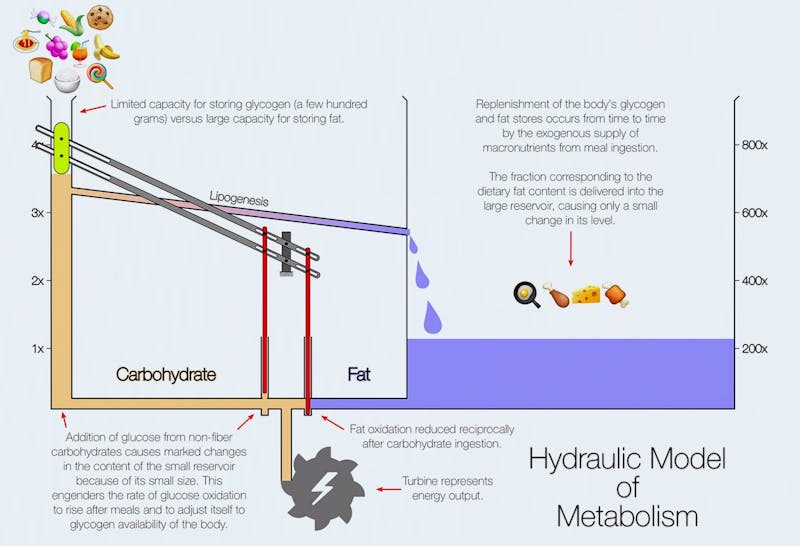 hydrualic3