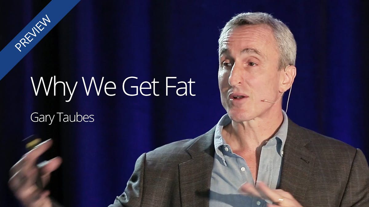 Why calories in and out does not explain obesity