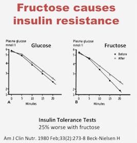 Fructose insulin resistance
