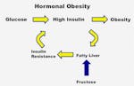 HOT-Fatty-Liver2.1 copy