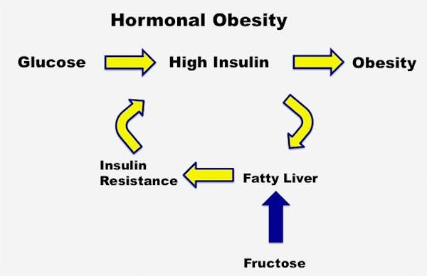 HOT-Fatty-Liver2.1 copy