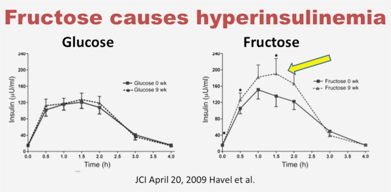 fructose