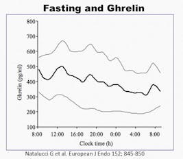 Ghrelin4 (kopia)