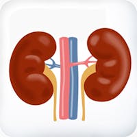 Keto and kidneys