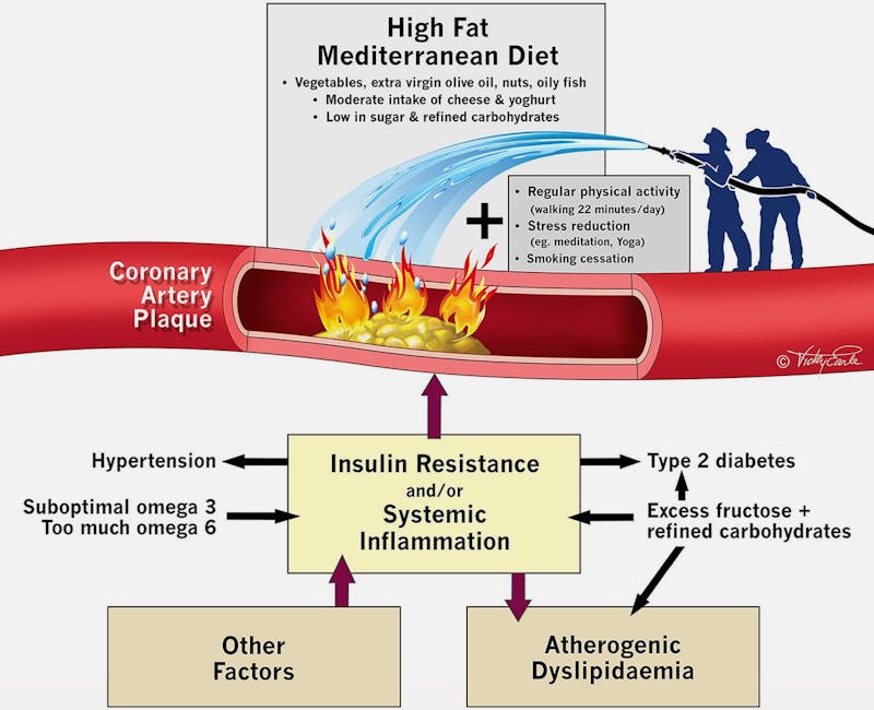 MedDietf2