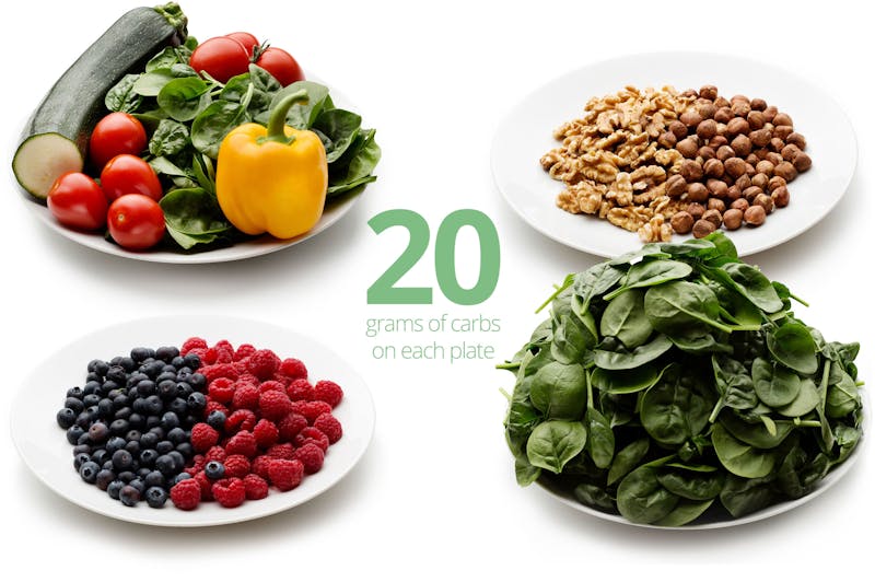 How Much Food Is 20 Or 50 Grams Of Carbs Diet Doctor,Pet Hedgehog Tank