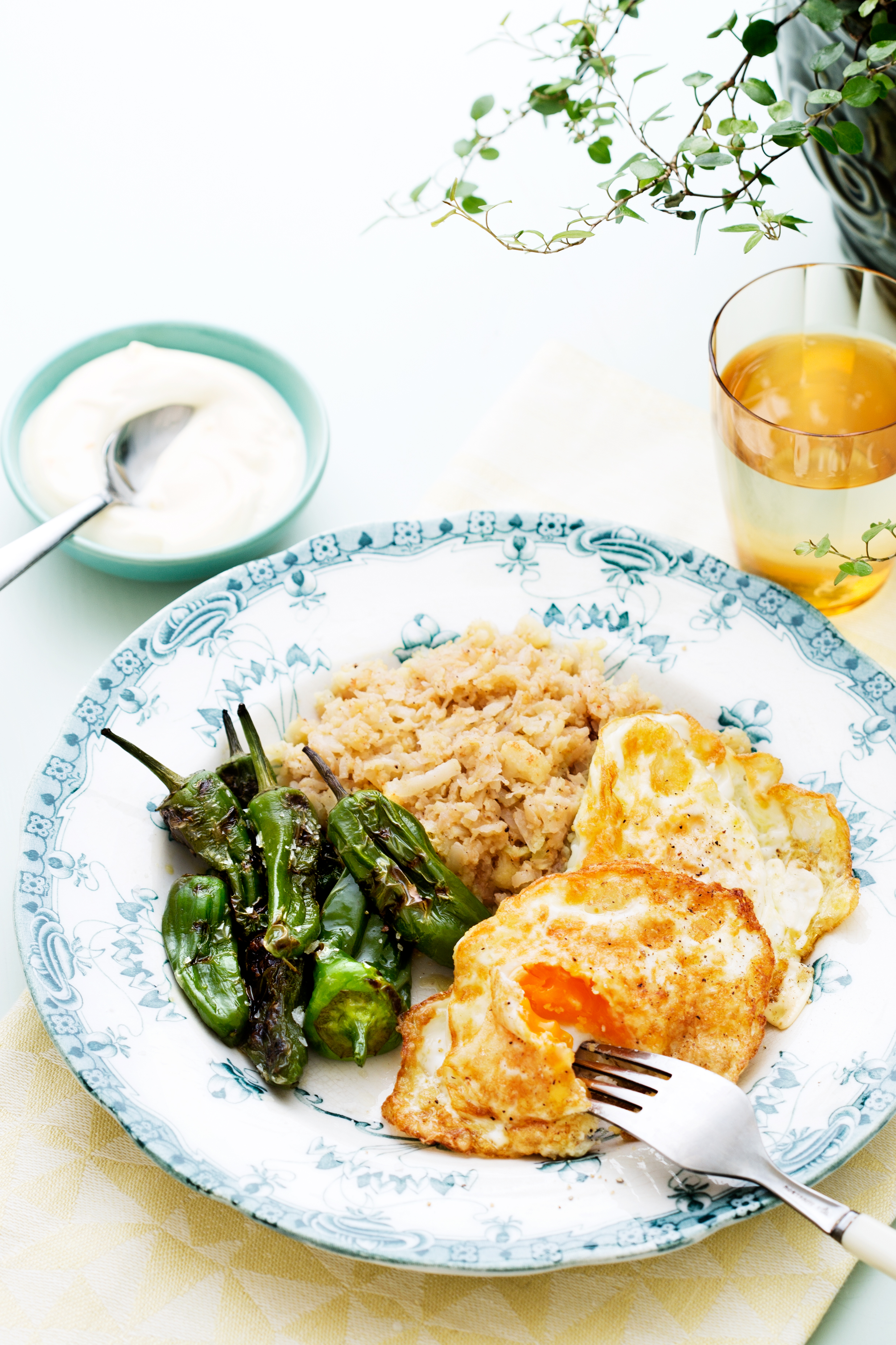 Lacto Ovo Vegetarian Recipes Breakfast Bryont Blog lacto-ovo-vegetarian-recipes-breakfast-bryont-blog