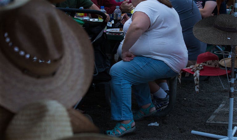12OBESE-master768