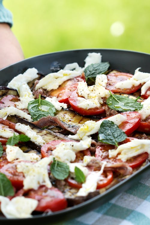 Grilled eggplant salad with mozzarella