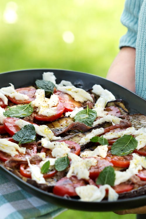 Grilled eggplant salad with mozzarella