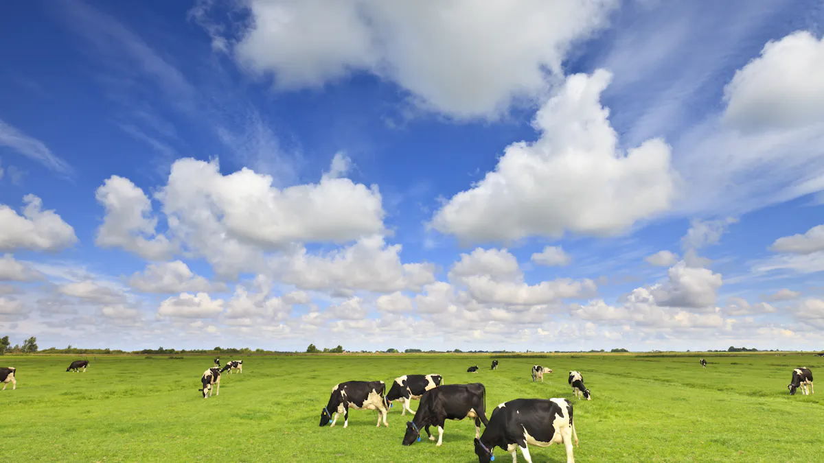 Grazing or fasting – and why it matters for weight loss