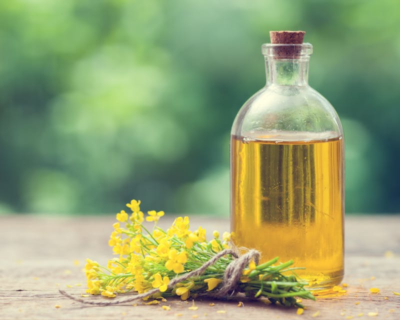 Bottle of rapeseed oil (canola) and rape flowers bunch