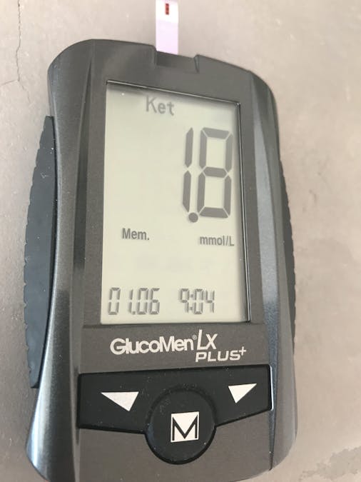 What to eat in ketosis