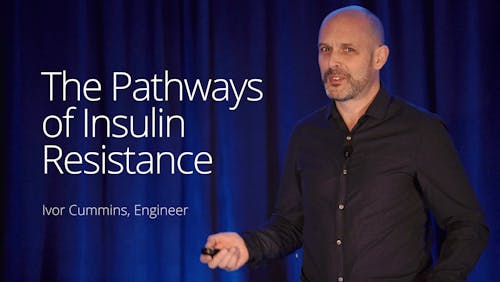 The pathways of insulin resistance