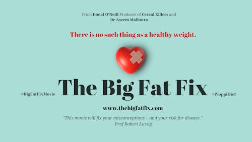 The Big Fat Fix