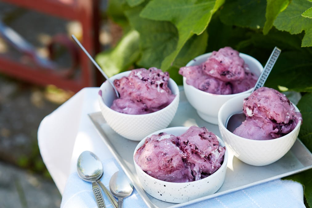 Low carb blueberry ice cream