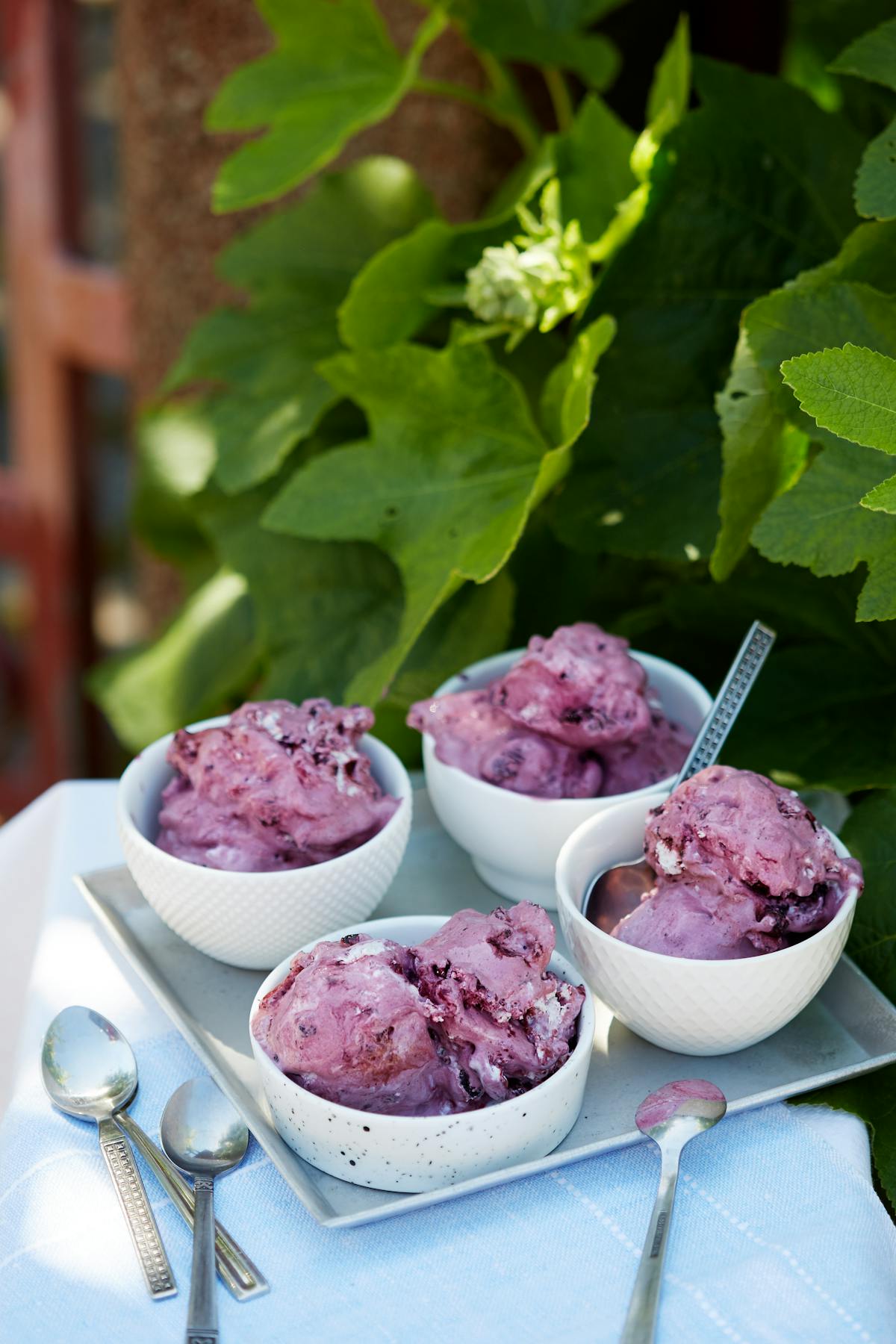 Low carb blueberry ice cream