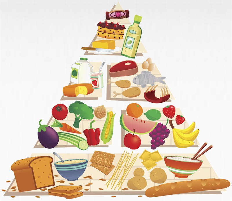 Graphic of various items of food forming a pyramid