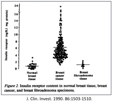 BreastCancerInsulinReceptor
