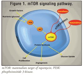 mtor1