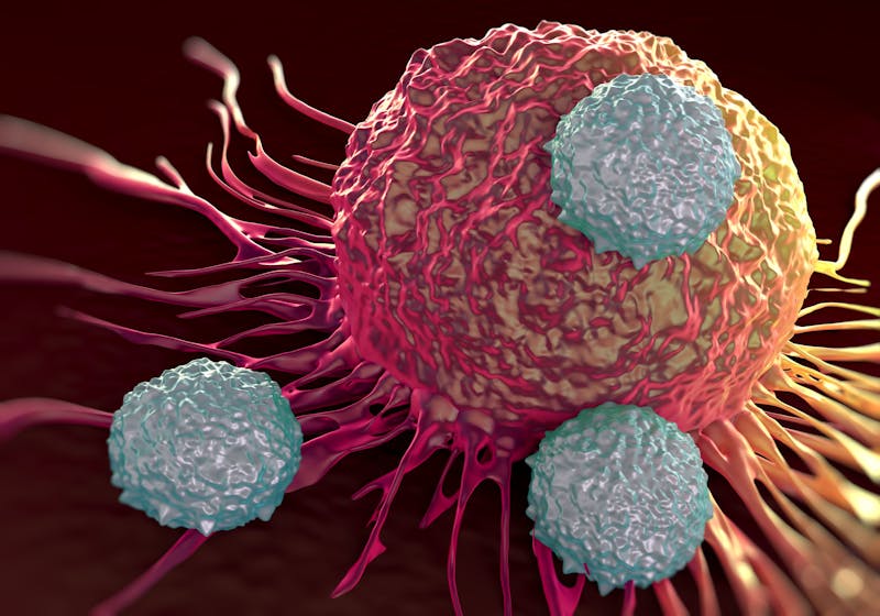 T-cells attacking cancer cell illustration of microscopic photos