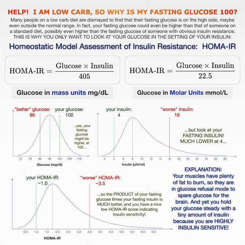 Low-carb and blood sugar regulation