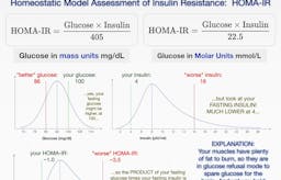 Why your fasting blood sugar might still be high on low carb