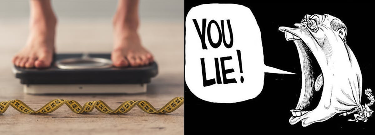 the scale and its