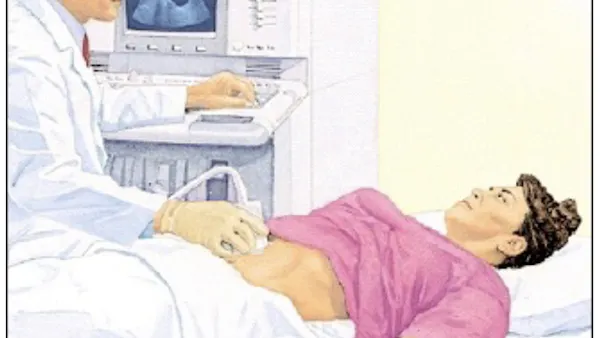 How fat is your liver?