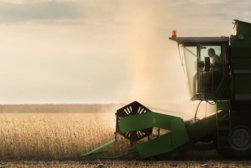 soybean harvest in autumn