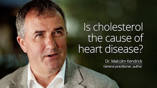 Is cholesterol the cause of heart disease?