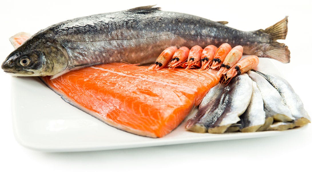 can keto diet eat fish