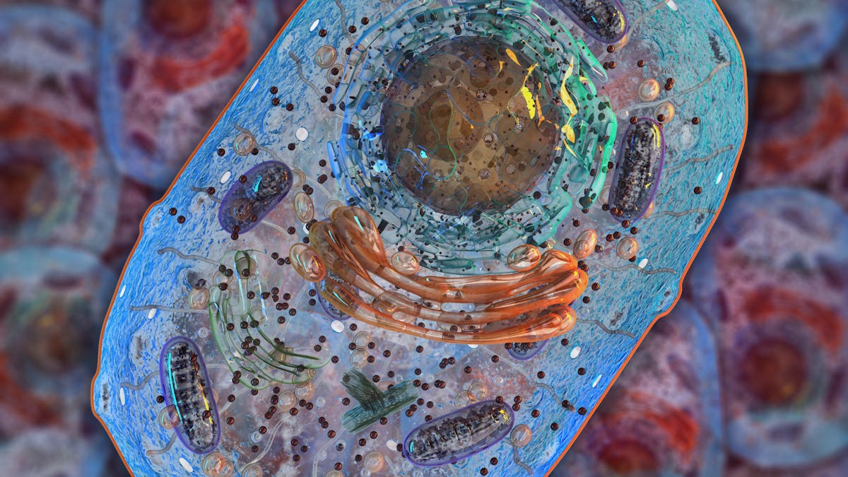 Autophagy – a cure for many present-day diseases?