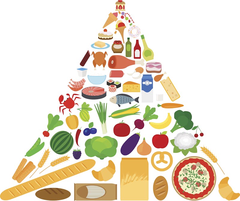 Healthy food diet infographics