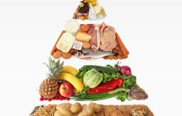 Why carbs and exercise are not the answers to reverse type 2 diabetes