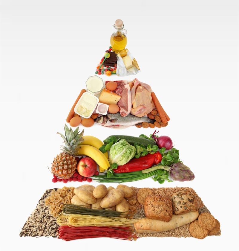 Food pyramid