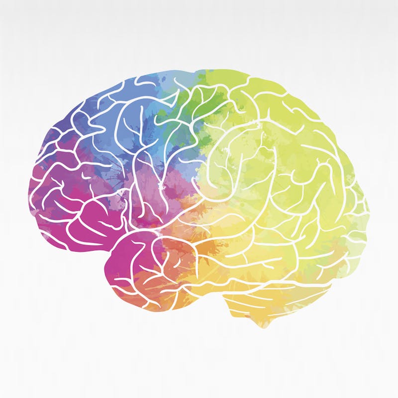 Human brain with rainbow watercolor spray on a white background