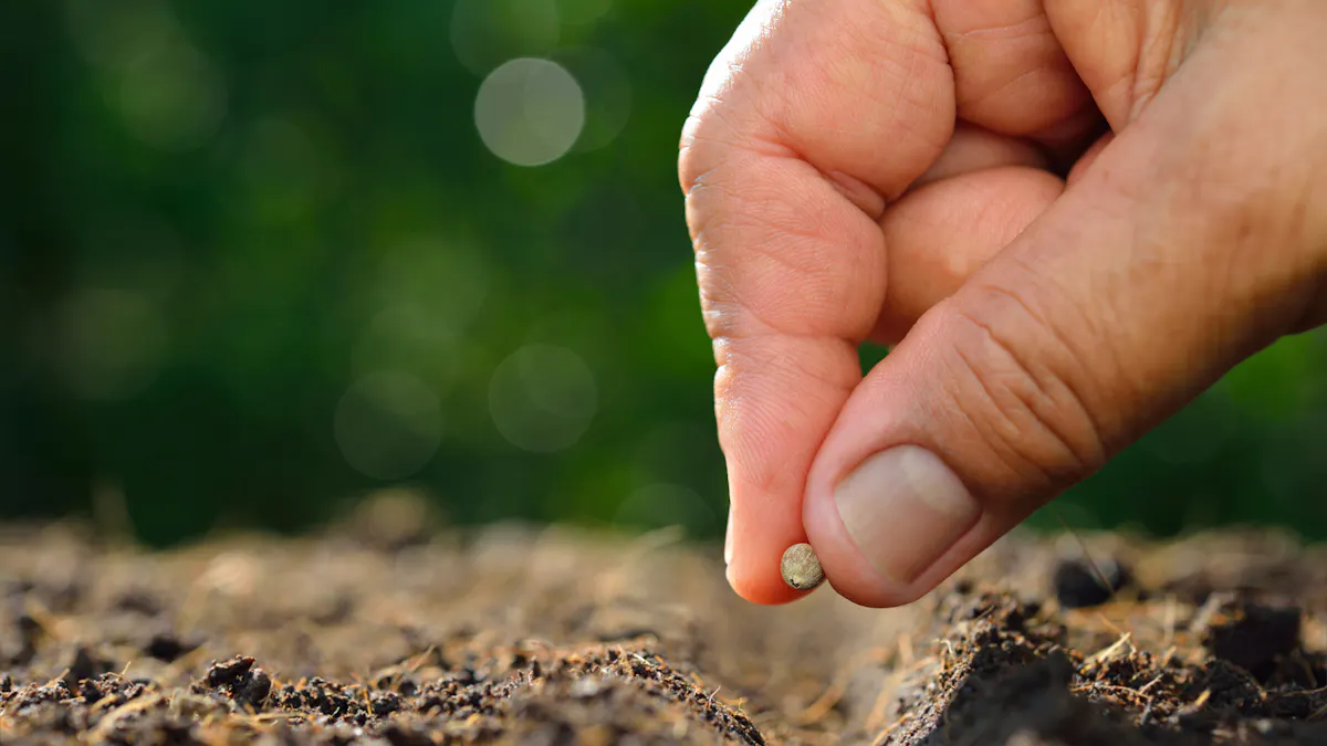 The seed-planting specialities