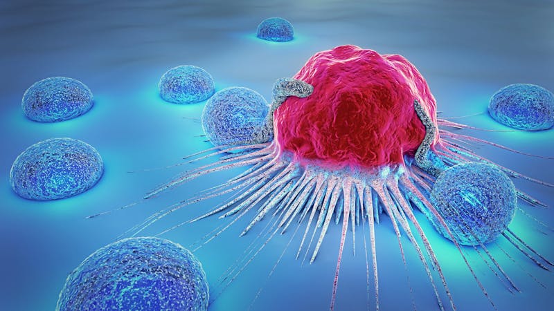 3d illustration of a cancer cell and lymphocytes