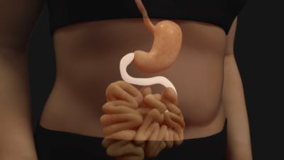 Keto初学者:7步ketosis