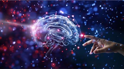 Low carb and mental health