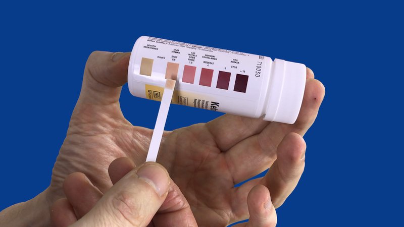 6. In ketosis?