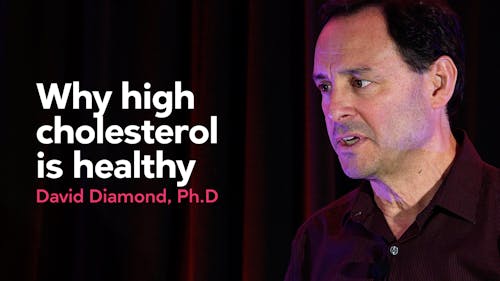 Why high cholesterol is healthy