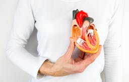 New study: Keto improves cardiovascular health markers