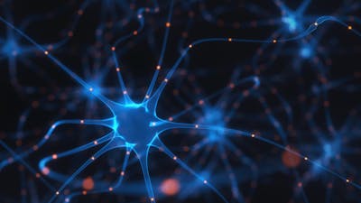 Kids and keto: Could it help with ADHD, autism and more?