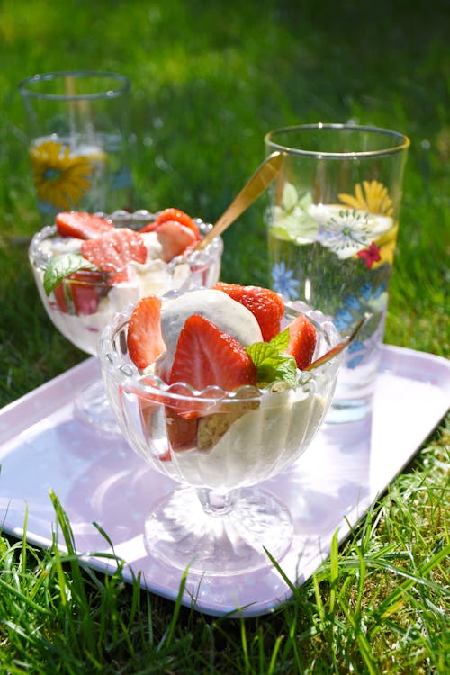 Keto vanilla ice cream